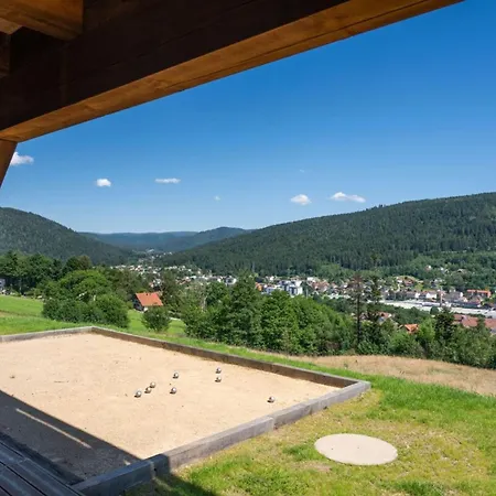 Tatil Evi Le Cerf - 12 Pers -sauna-jacuzzi