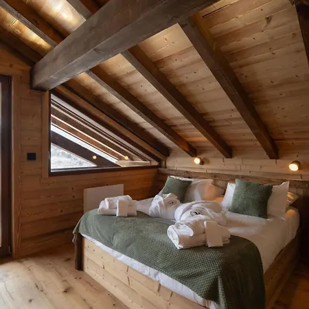 Le Cerf - 12 Pers -sauna-jacuzzi Tatil Evi Gérardmer